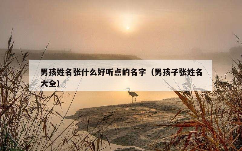 男孩姓名张什么好听点的名字（男孩子张姓名大全）