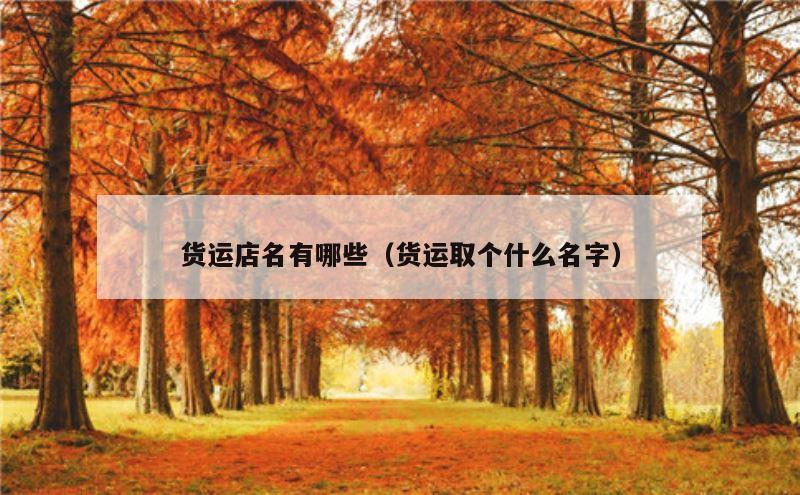 货运店名有哪些（货运取个什么名字）