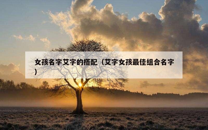 女孩名字艾字的搭配（艾字女孩最佳组合名字）