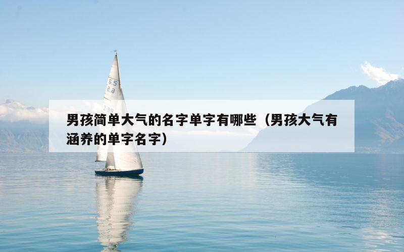 男孩简单大气的名字单字有哪些（男孩大气有涵养的单字名字）