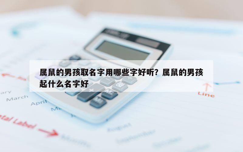 属鼠的男孩取名字用哪些字好听？属鼠的男孩起什么名字好