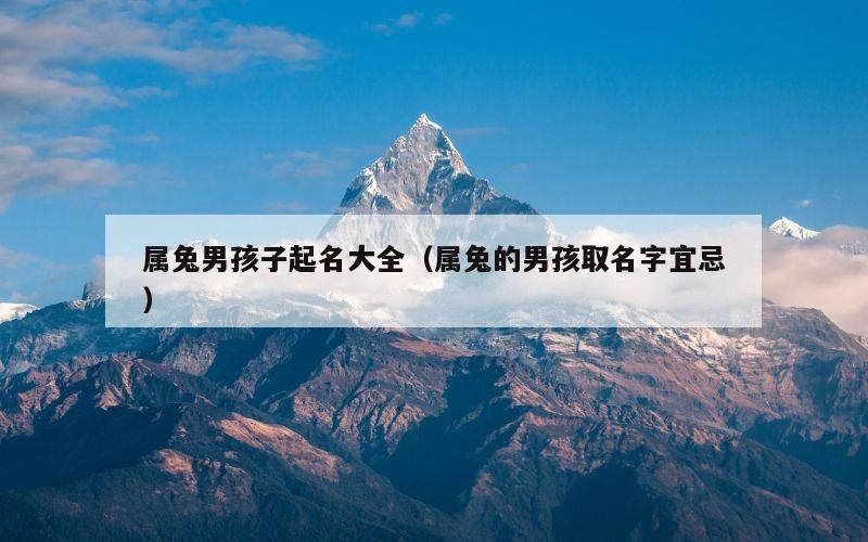 属兔男孩子起名大全（属兔的男孩取名字宜忌）