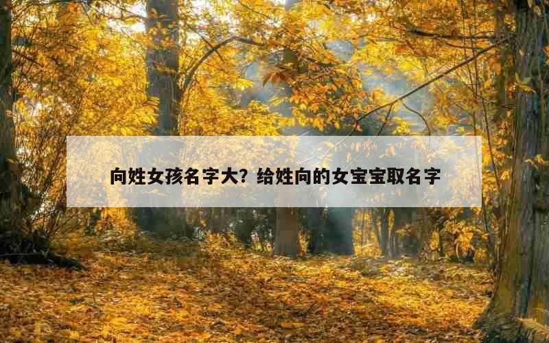 向姓女孩名字大？给姓向的女宝宝取名字
