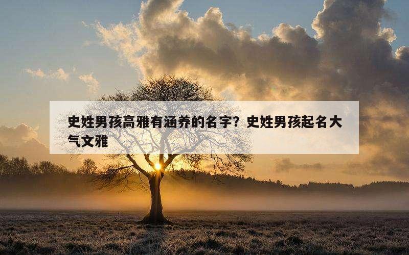 史姓男孩高雅有涵养的名字？史姓男孩起名大气文雅