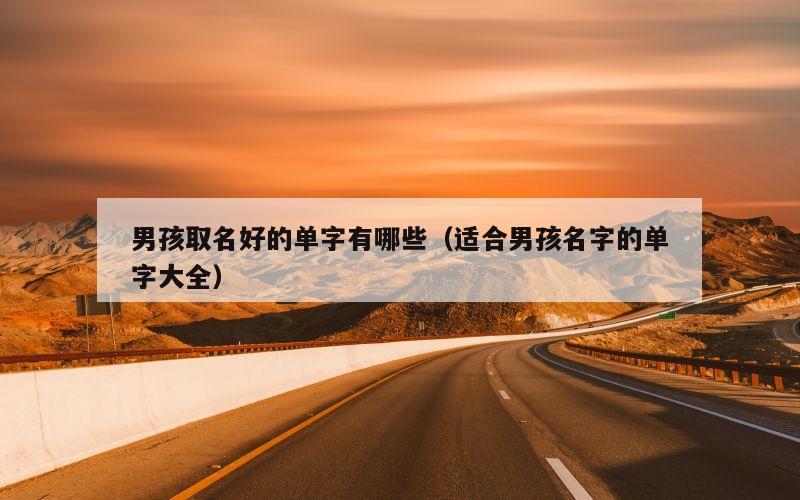 男孩取名好的单字有哪些（适合男孩名字的单字大全）