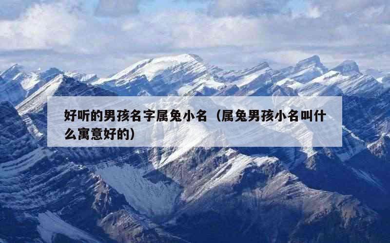 好听的男孩名字属兔小名（属兔男孩小名叫什么寓意好的）