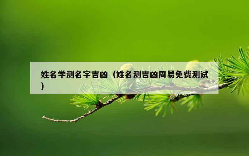 姓名学测名字吉凶（姓名测吉凶周易免费测试）