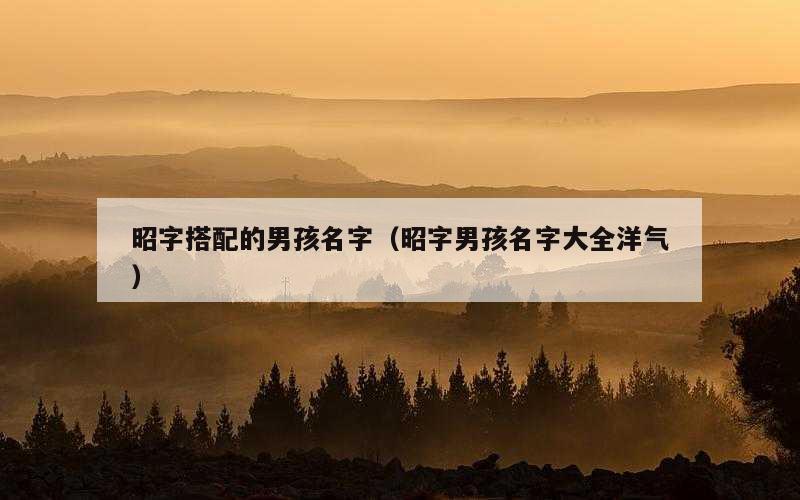 昭字搭配的男孩名字（昭字男孩名字大全洋气）