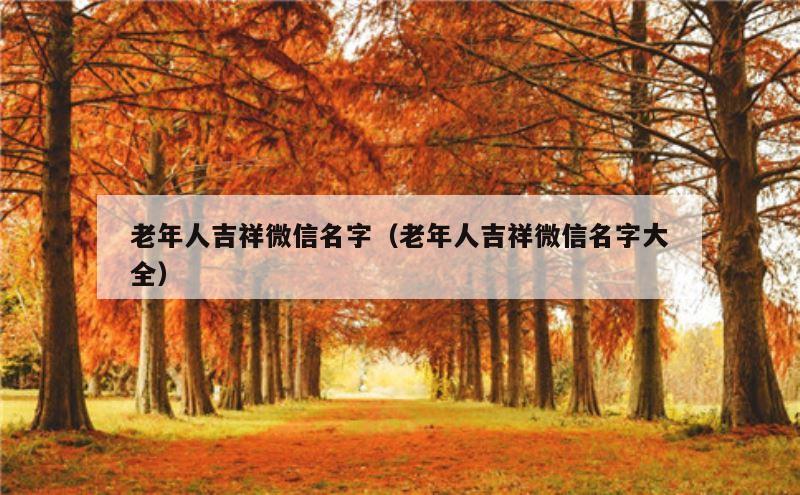 老年人吉祥微信名字（老年人吉祥微信名字大全）