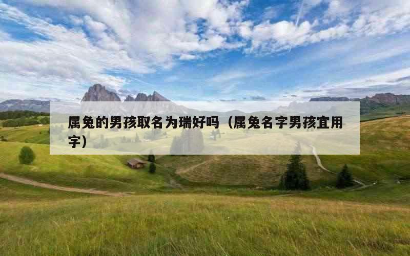 属兔的男孩取名为瑞好吗（属兔名字男孩宜用字）