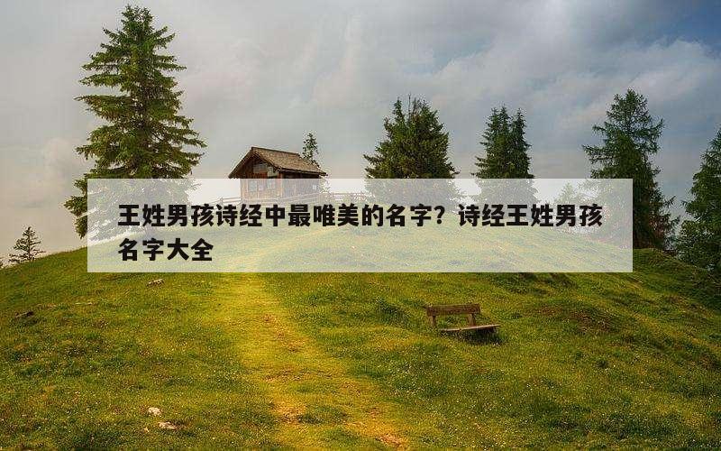 王姓男孩诗经中最唯美的名字？诗经王姓男孩名字大全