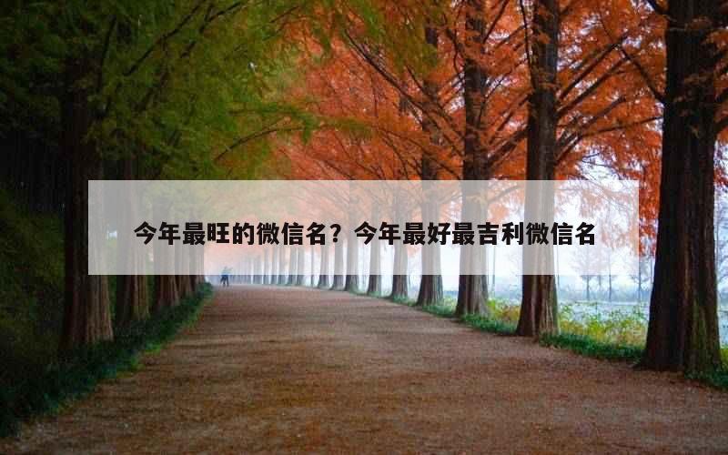 今年最旺的微信名？今年最好最吉利微信名