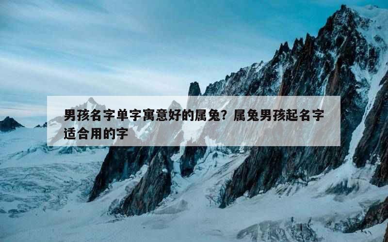 男孩名字单字寓意好的属兔？属兔男孩起名字适合用的字