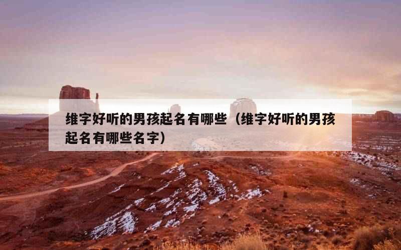 维字好听的男孩起名有哪些（维字好听的男孩起名有哪些名字）