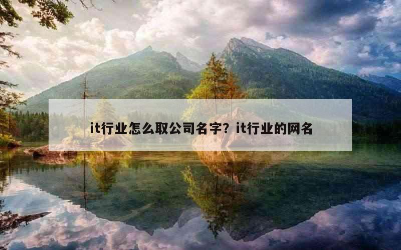 it行业怎么取公司名字？it行业的网名