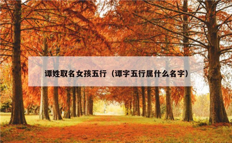 谭姓取名女孩五行（谭字五行属什么名字）