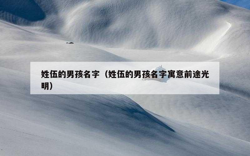姓伍的男孩名字（姓伍的男孩名字寓意前途光明）