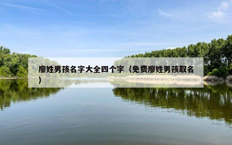 廖姓男孩名字大全四个字（免费廖姓男孩取名）