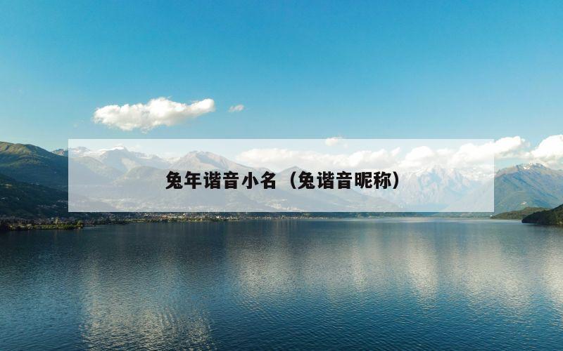 兔年谐音小名（兔谐音昵称）