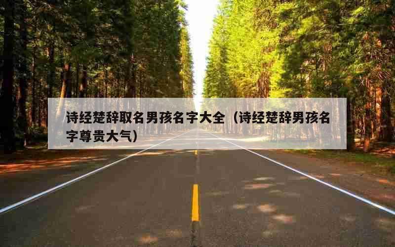 诗经楚辞取名男孩名字大全（诗经楚辞男孩名字尊贵大气）