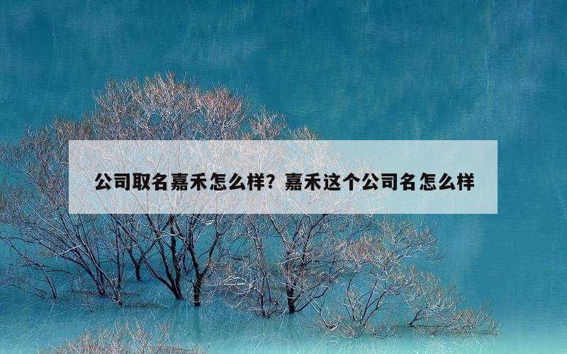 公司取名嘉禾怎么样？嘉禾这个公司名怎么样