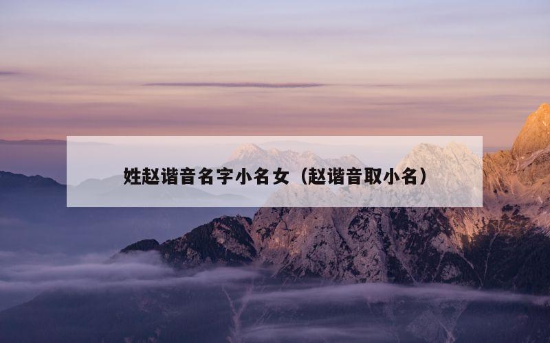 姓赵谐音名字小名女（赵谐音取小名）