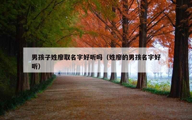 男孩子姓廖取名字好听吗（姓廖的男孩名字好听）