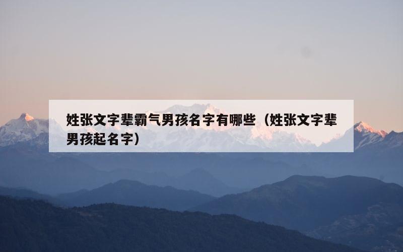 姓张文字辈霸气男孩名字有哪些（姓张文字辈男孩起名字）
