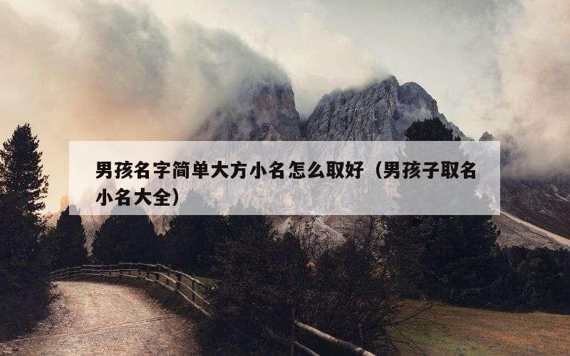 男孩名字简单大方小名怎么取好（男孩子取名小名大全）