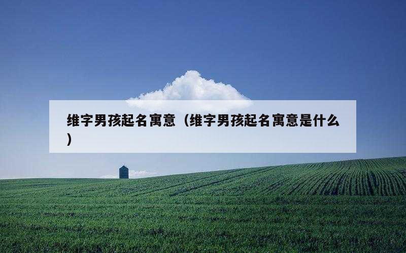 维字男孩起名寓意（维字男孩起名寓意是什么）