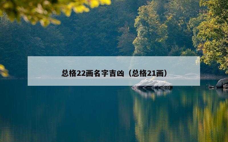 总格22画名字吉凶（总格21画）