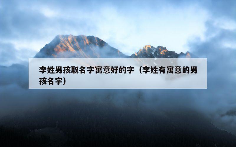 李姓男孩取名字寓意好的字（李姓有寓意的男孩名字）