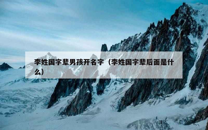 李姓国字辈男孩开名字（李姓国字辈后面是什么）