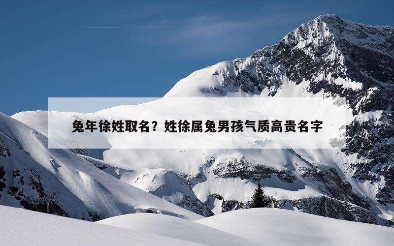兔年徐姓取名？姓徐属兔男孩气质高贵名字