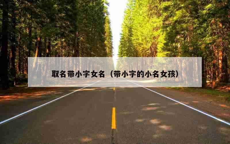 取名带小字女名（带小字的小名女孩）