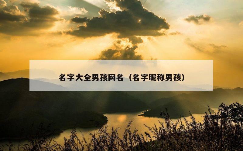 名字大全男孩网名（名字昵称男孩）