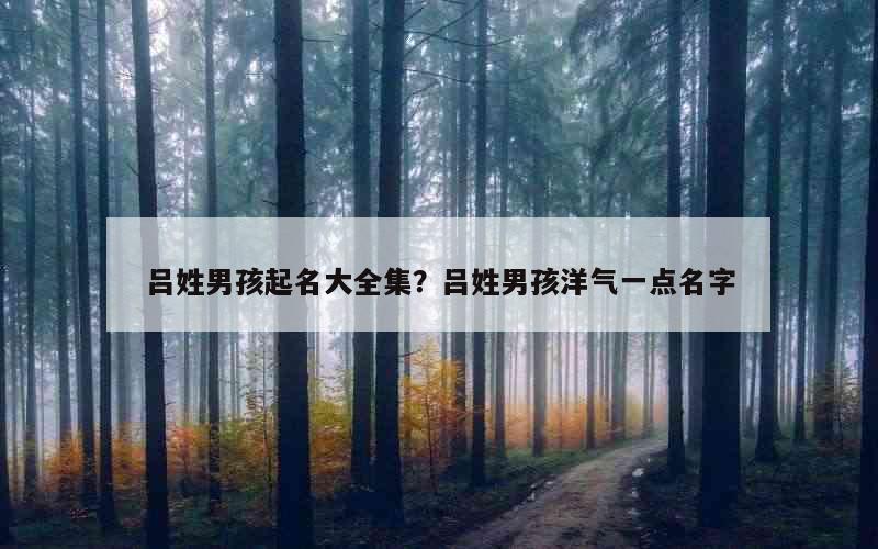 吕姓男孩起名大全集？吕姓男孩洋气一点名字