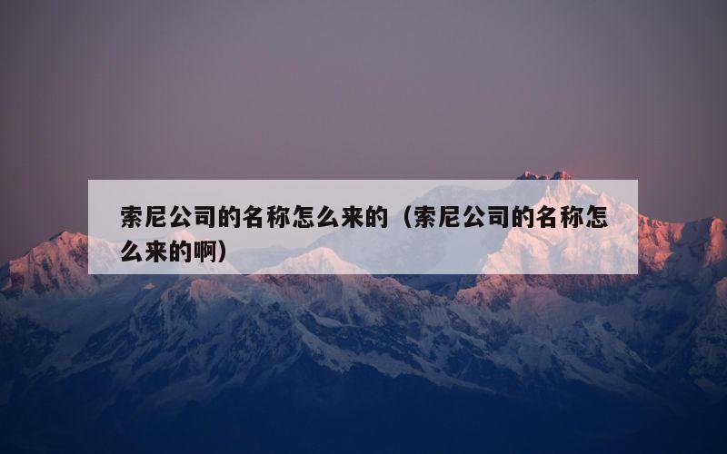 索尼公司的名称怎么来的（索尼公司的名称怎么来的啊）