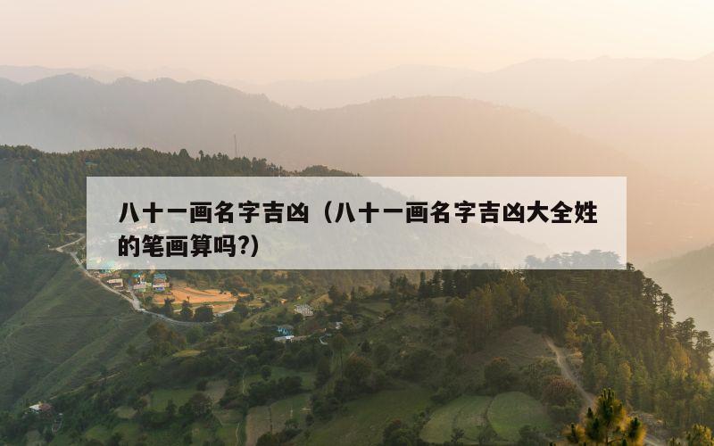 八十一画名字吉凶（八十一画名字吉凶大全姓的笔画算吗?）