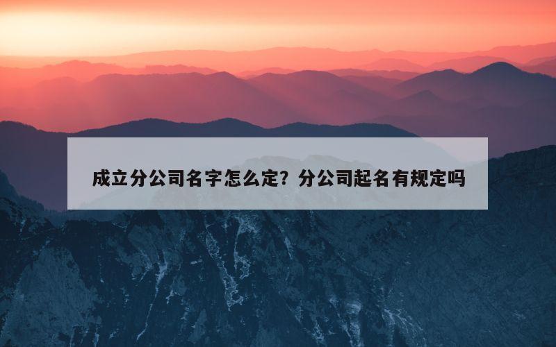 成立分公司名字怎么定？分公司起名有规定吗