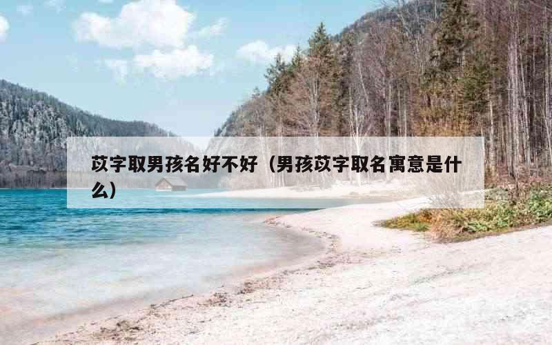 苡字取男孩名好不好（男孩苡字取名寓意是什么）