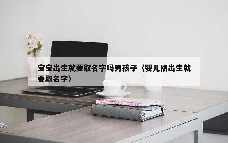 宝宝出生就要取名字吗男孩子（婴儿刚出生就要取名字）