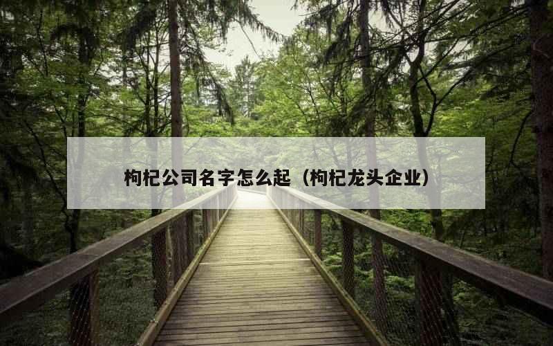 枸杞公司名字怎么起（枸杞龙头企业）