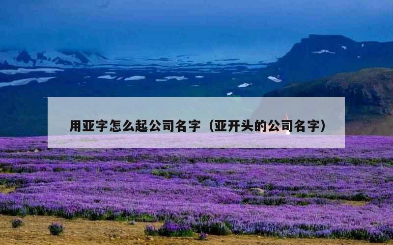 用亚字怎么起公司名字（亚开头的公司名字）