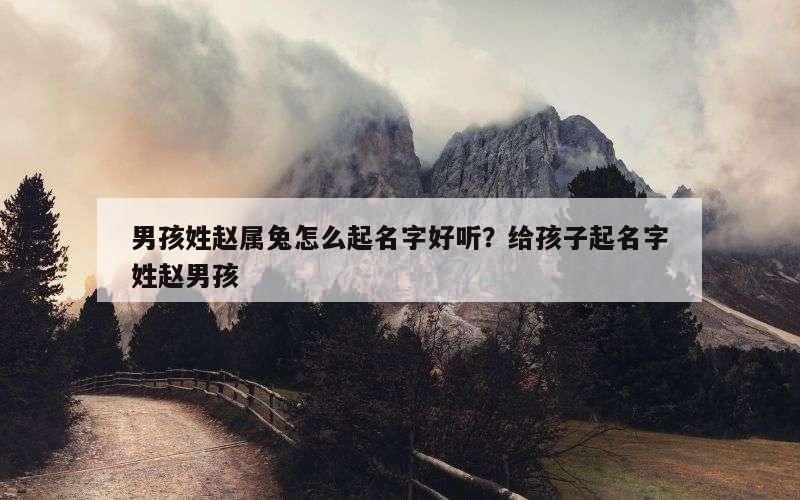 男孩姓赵属兔怎么起名字好听？给孩子起名字姓赵男孩