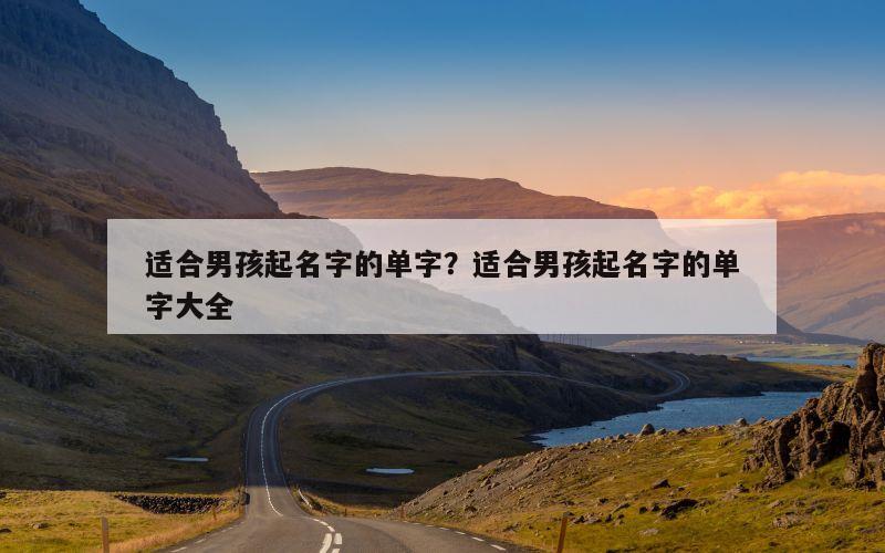 适合男孩起名字的单字？适合男孩起名字的单字大全