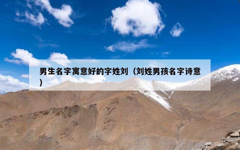 男生名字寓意好的字姓刘（刘姓男孩名字诗意）
