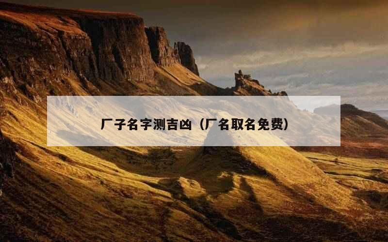 厂子名字测吉凶（厂名取名免费）