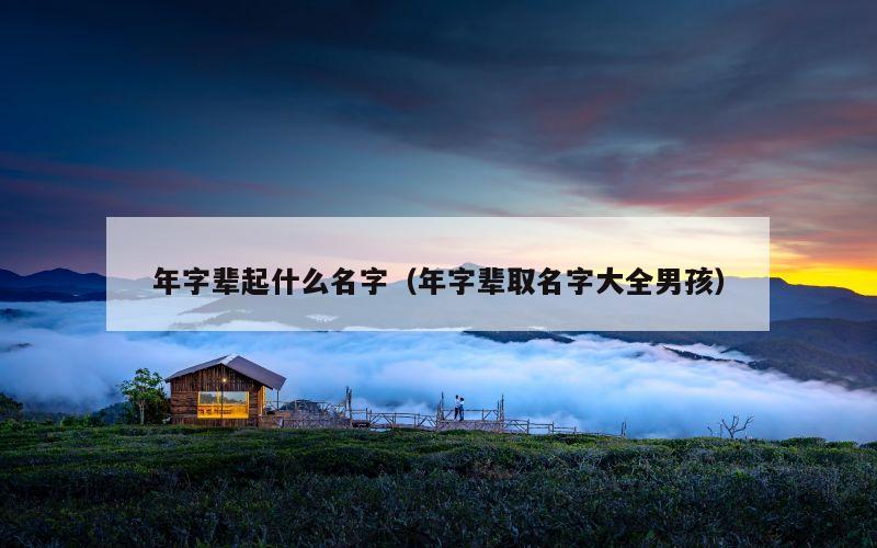 年字辈起什么名字（年字辈取名字大全男孩）