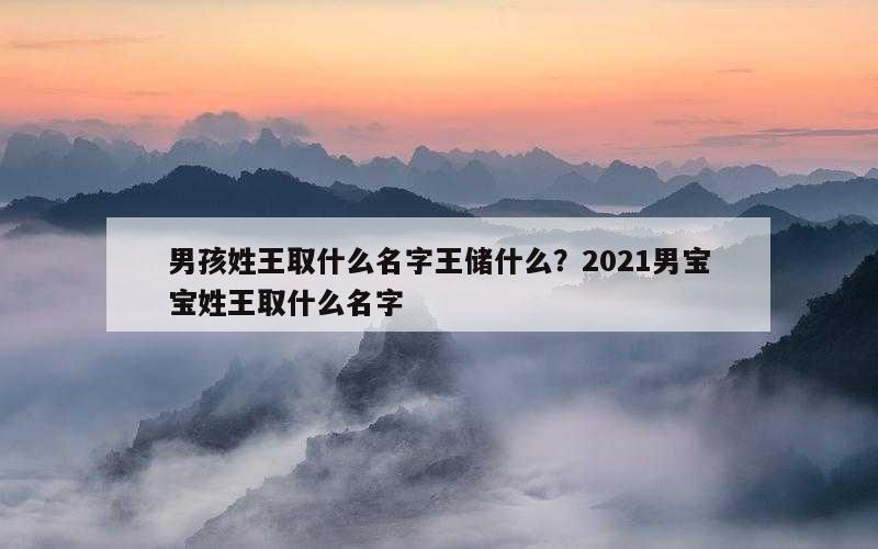 男孩姓王取什么名字王储什么？2021男宝宝姓王取什么名字